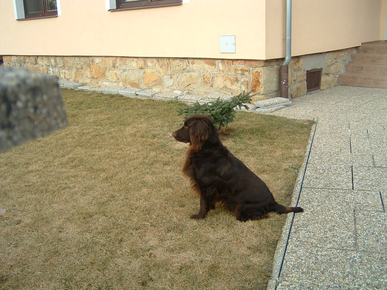 DSCF0065
