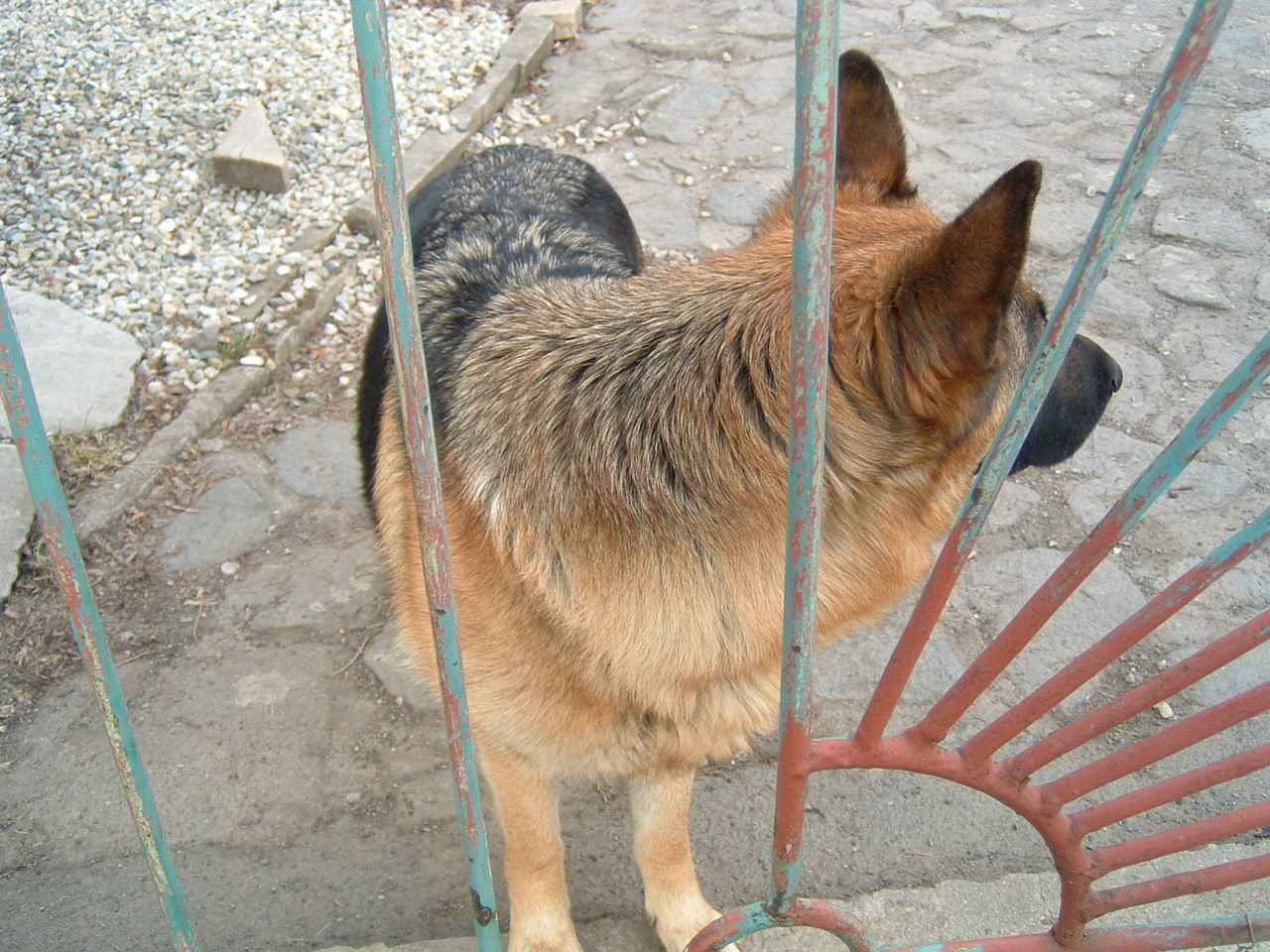 DSCF0075