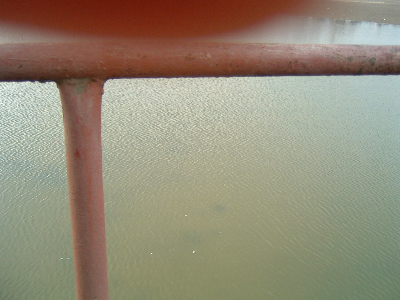 DSCF0078