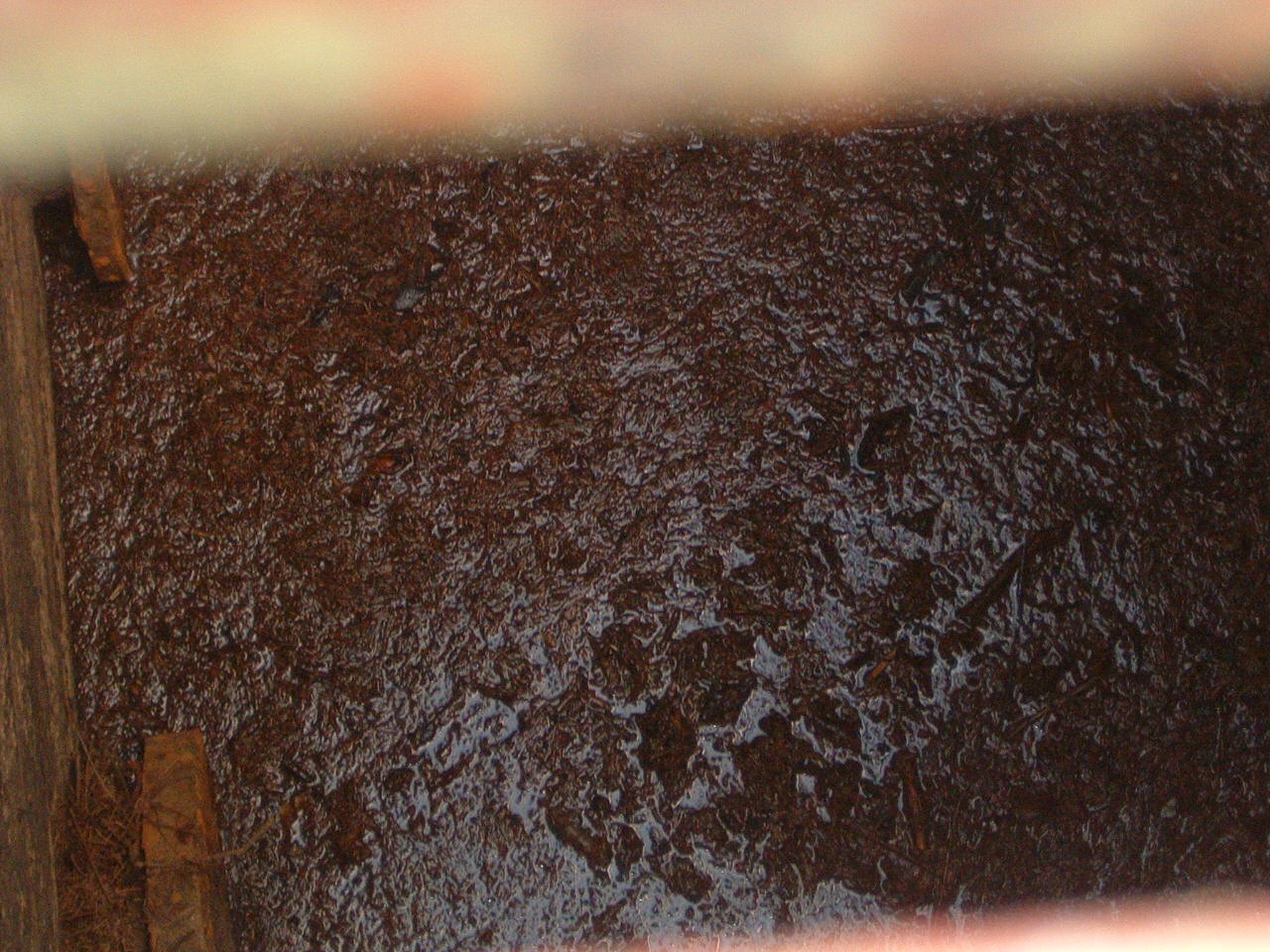DSCF0080