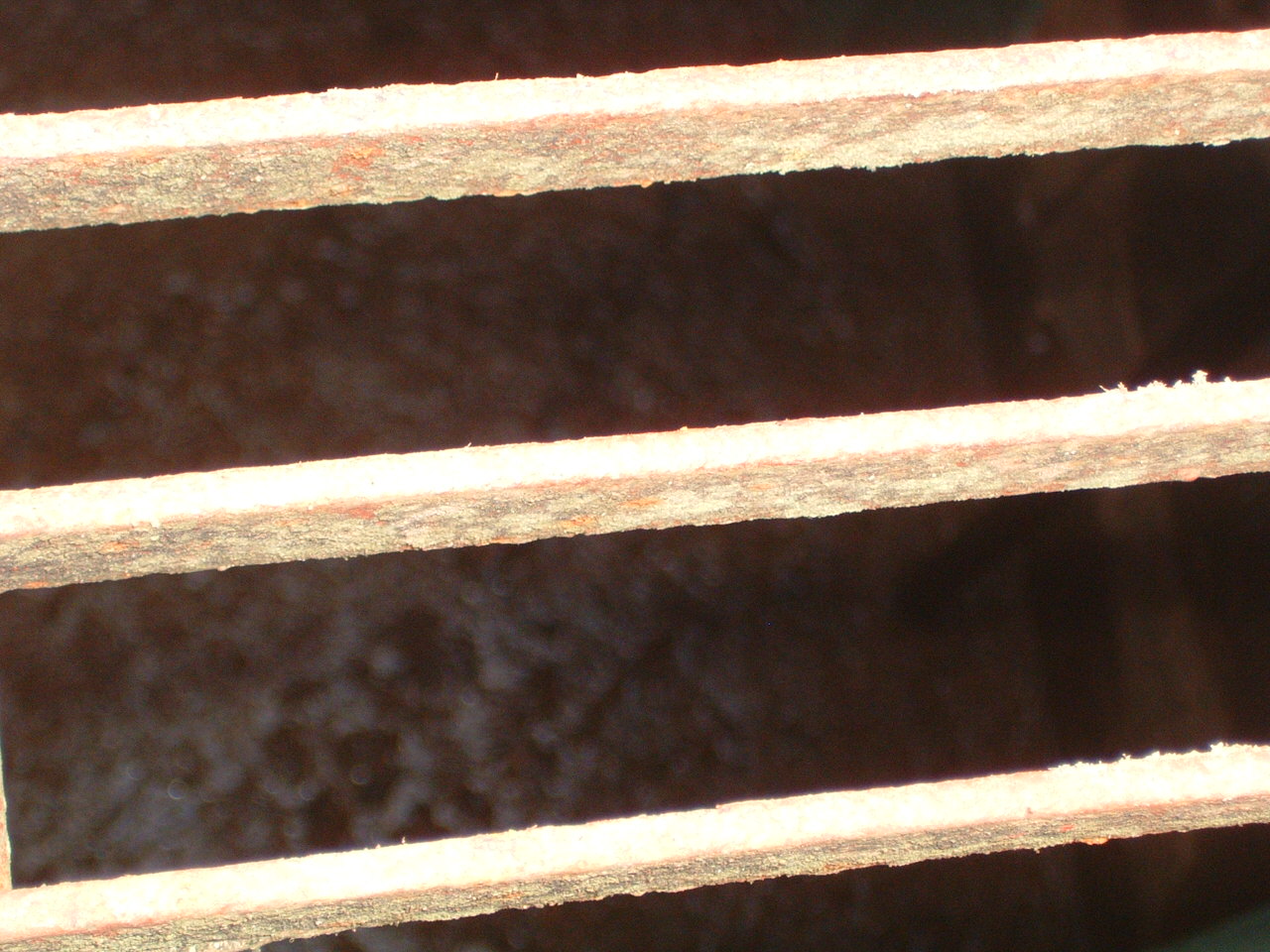 DSCF0081