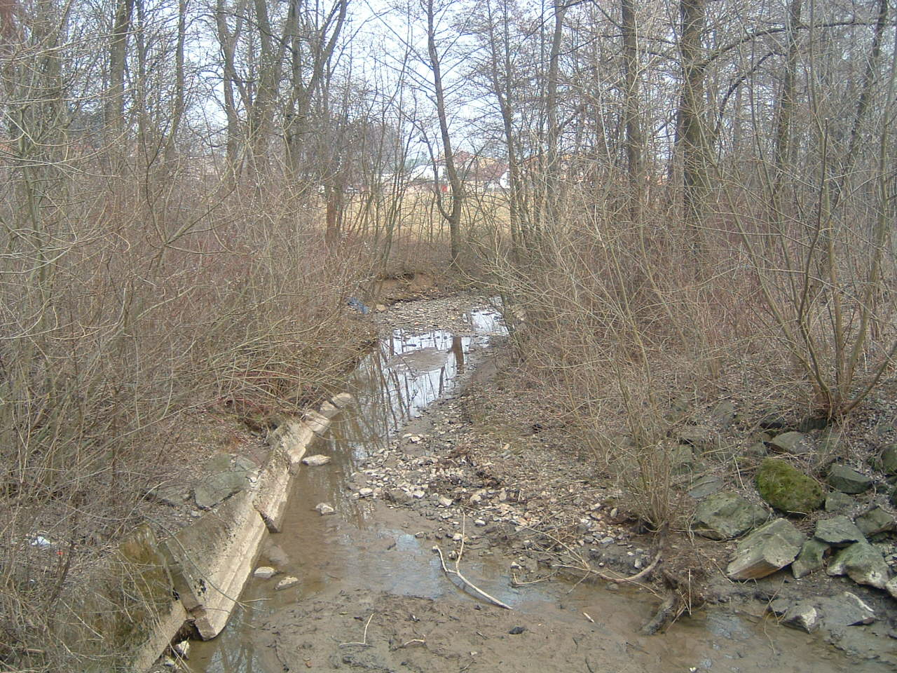 DSCF0084