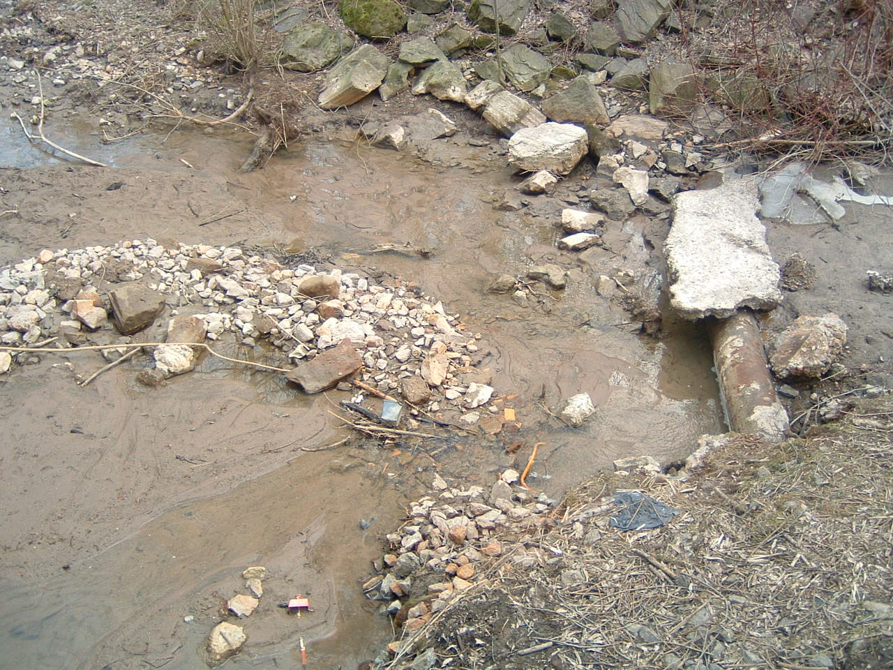 DSCF0085