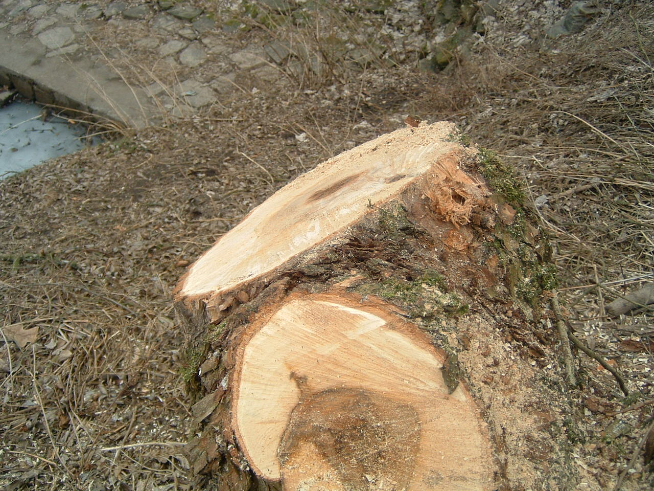 DSCF0087