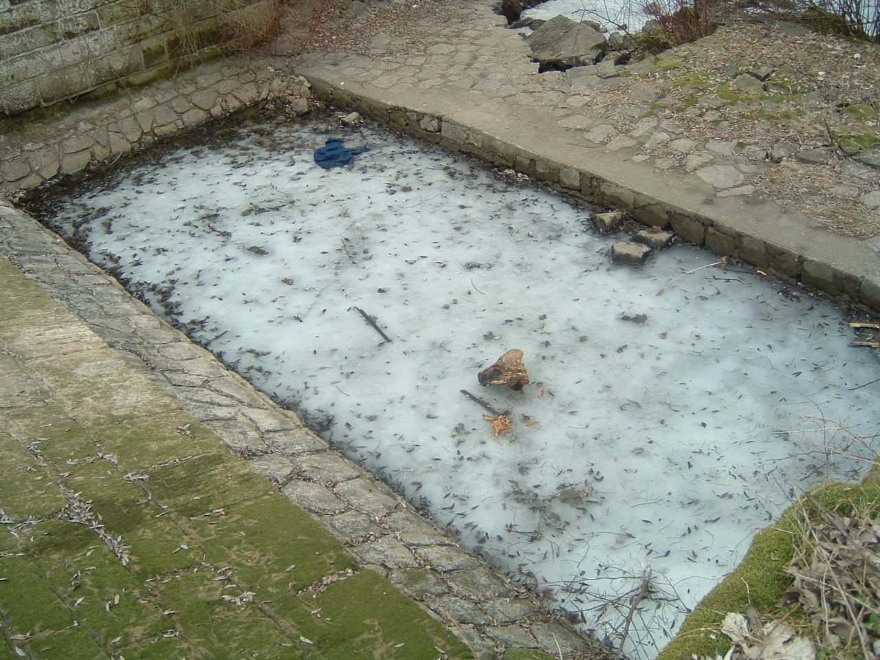 DSCF0088