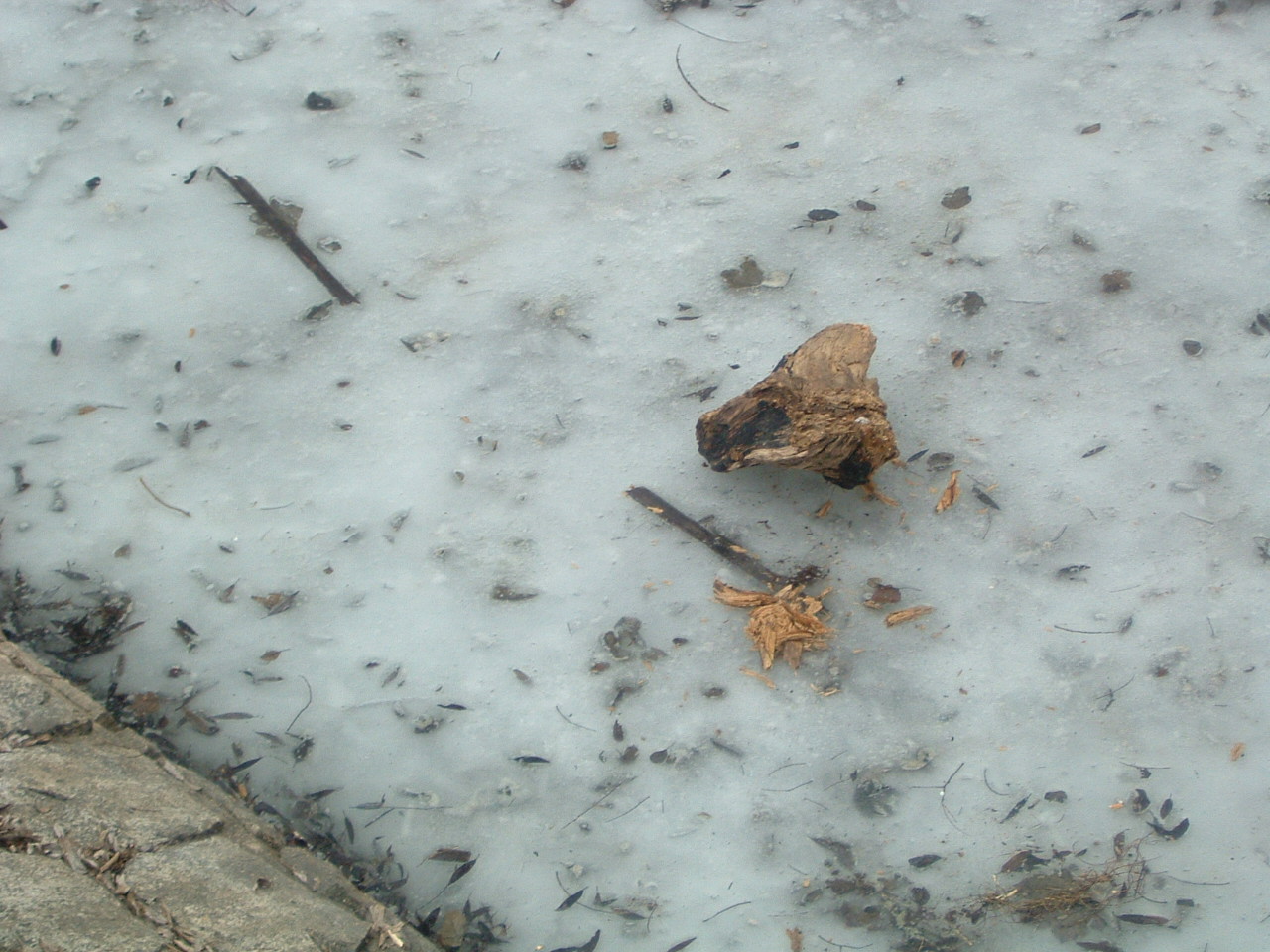 DSCF0089