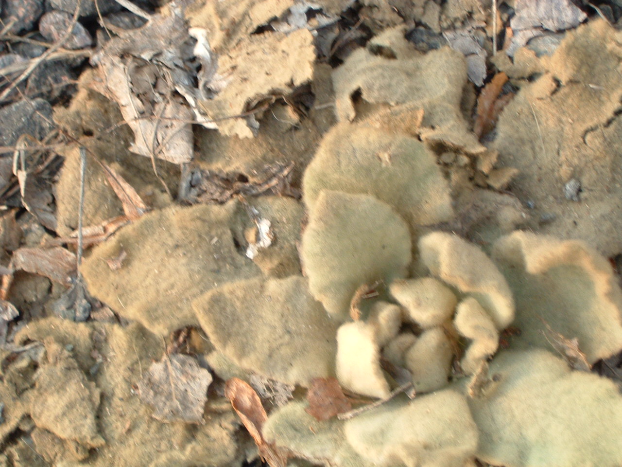 DSCF0096